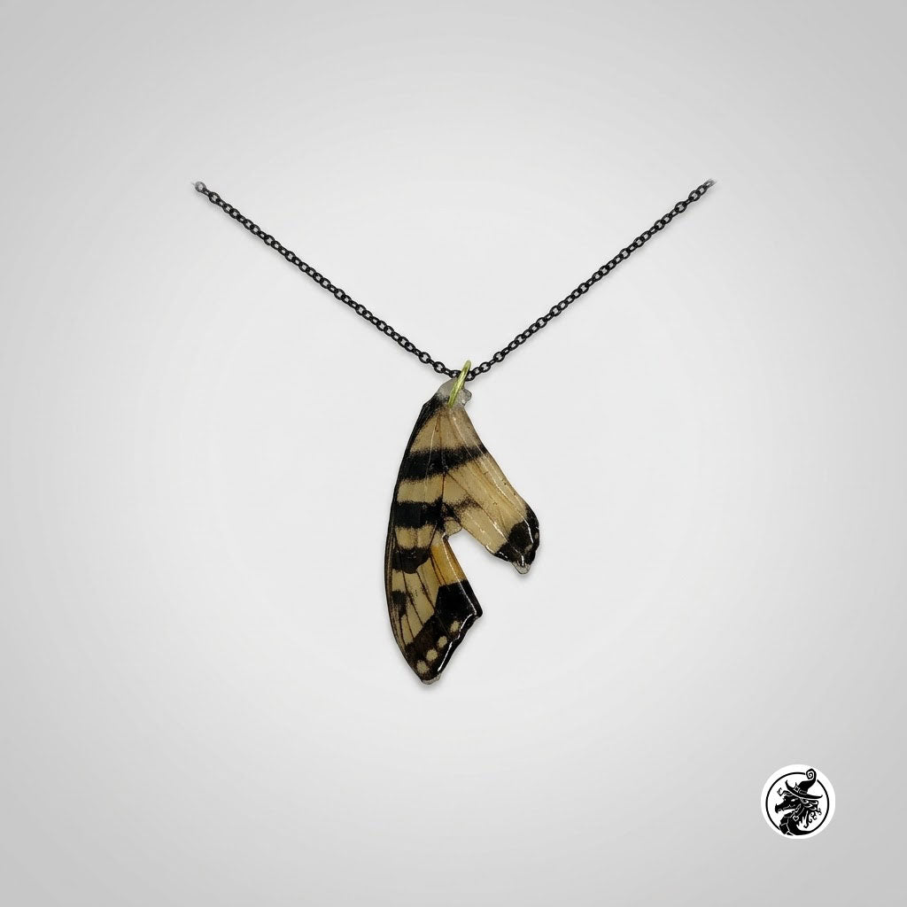 Real Butterfly Wing Pendant