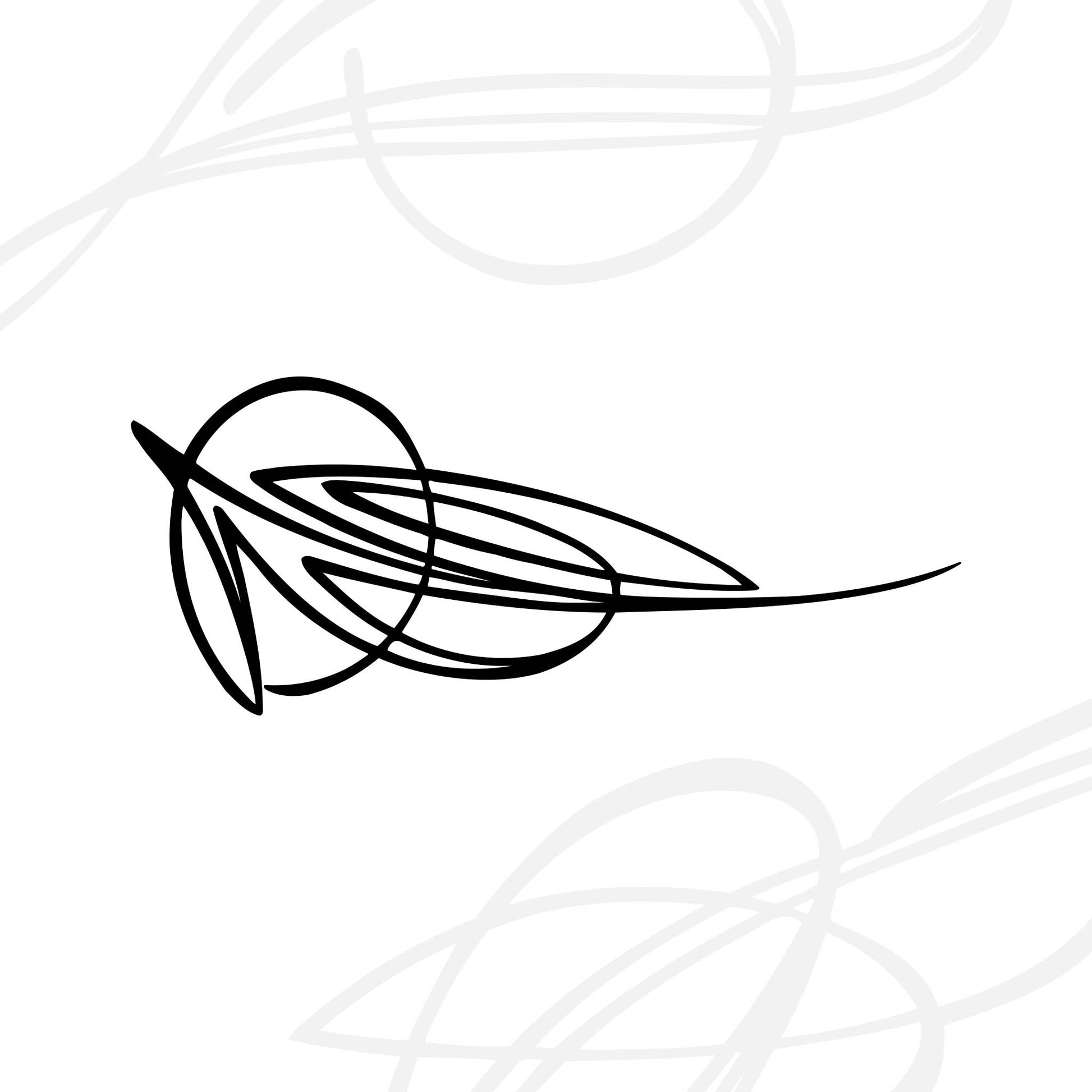 Abstract black line art with intersecting loops and curves in the center, overlaid on a white background with faint gray swirling lines.