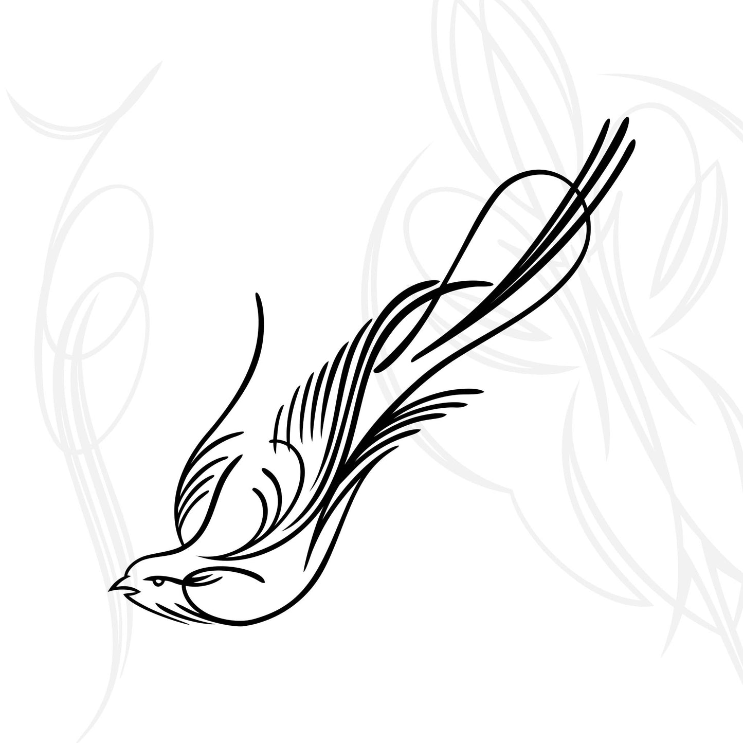 A minimalist black line drawing of a bird with long, flowing tail feathers, soaring downward on a white background with faint abstract shapes.