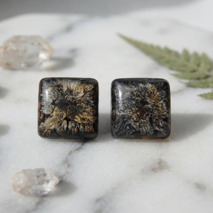 Smokey Black & Gold Swirl Stud Earrings