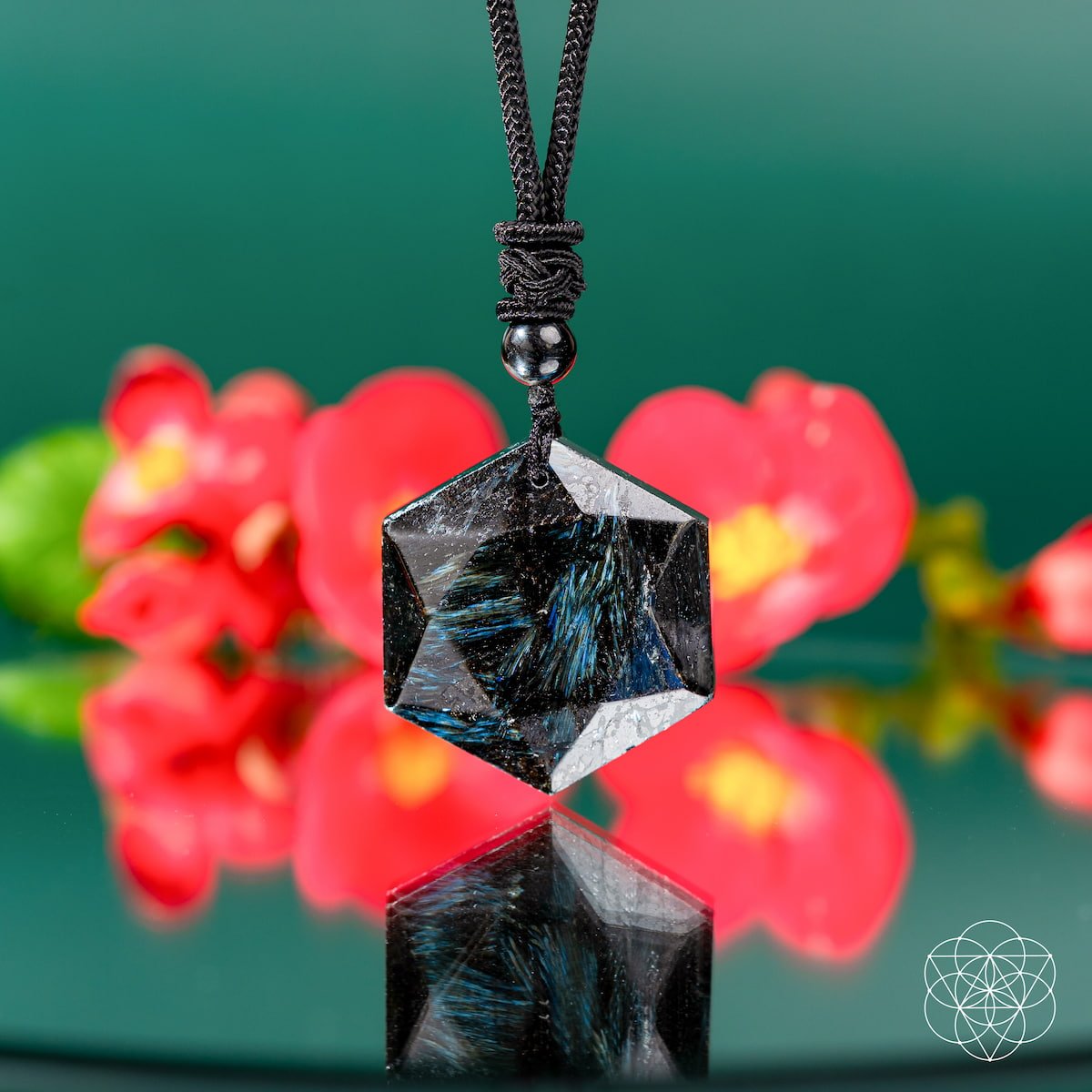 The Arfvedsonite Deep Healing Pendant by Conscious Items—a hexagonal black vision stone on a black cord—is shown reflecting below, set against blurred red flowers and green leaves, radiating emotional healing energy.