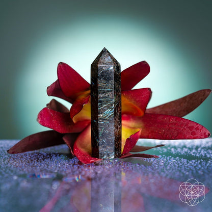 The "This Is Your Breakthrough – Rare Arfvedsonite Point" by Conscious Items stands upright before a red and yellow flower, sparkling purple granules scattered on the reflective surface, with a geometric logo at the bottom right symbolizing breakthrough energy.
